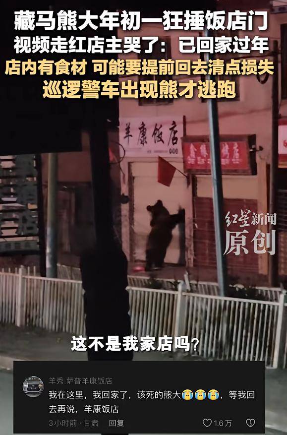 竞猜世界杯 -一饭店春节遭兩(liǎng)只黑熊夜闯：扯坏铁丝围挡，推起卷帘门进屋